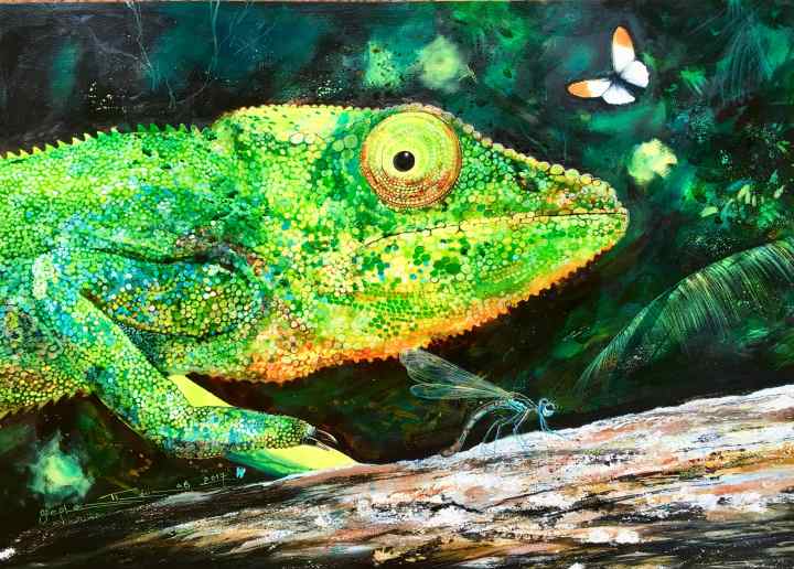 Stephen Thomas painting of a chameleon. Painting dimensions are 70cm x 50cm.