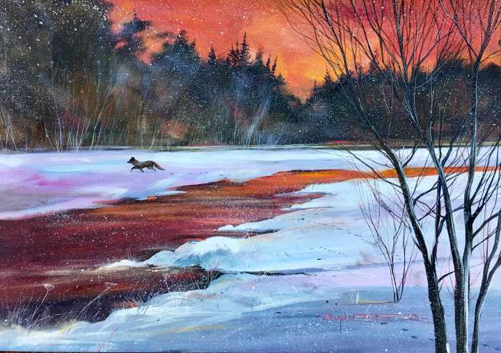 Stephen Thomas painting of a fox wandering around on a snowfield. Painting dimensions are 49.5cm x 34.5cm.
