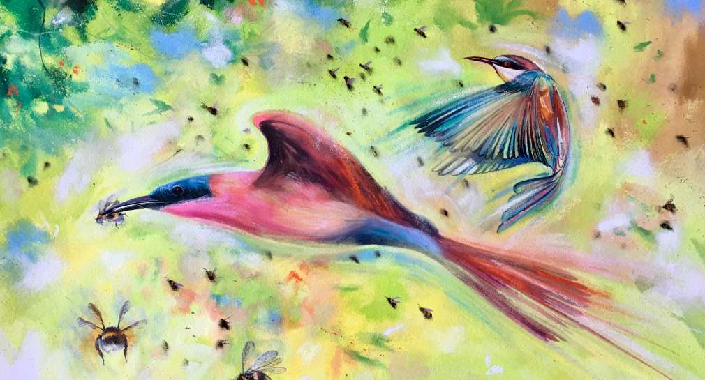 Stephen Thomas painting of Bee-Eaters on the Wing. He used mixed media of watercolours, inks and pastels. Painting dimensions are 72cm x 50.5cm.